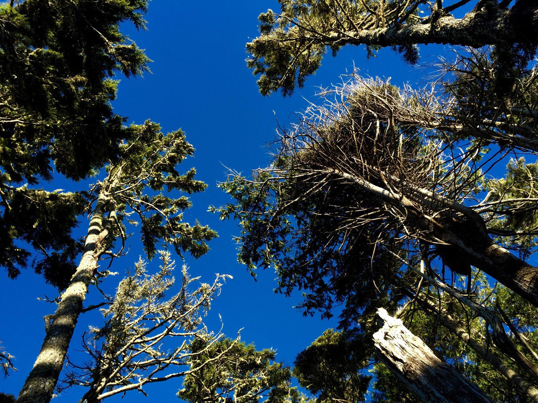 Wild Pacific Trail景点图片