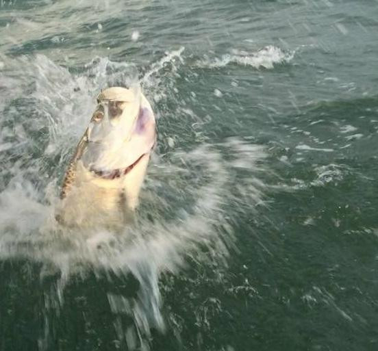 Fly 'Em High Charters-Placida必去景点