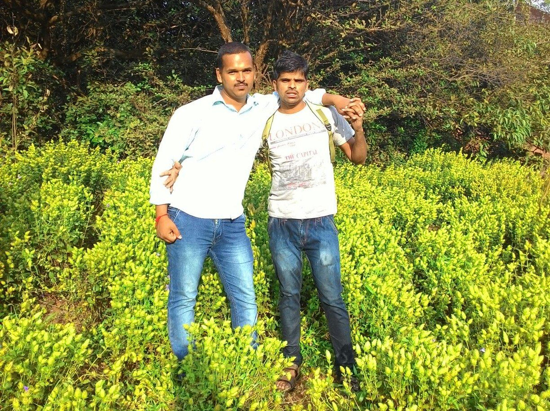 Sunset Spot & Picnic-暹粒必去景点