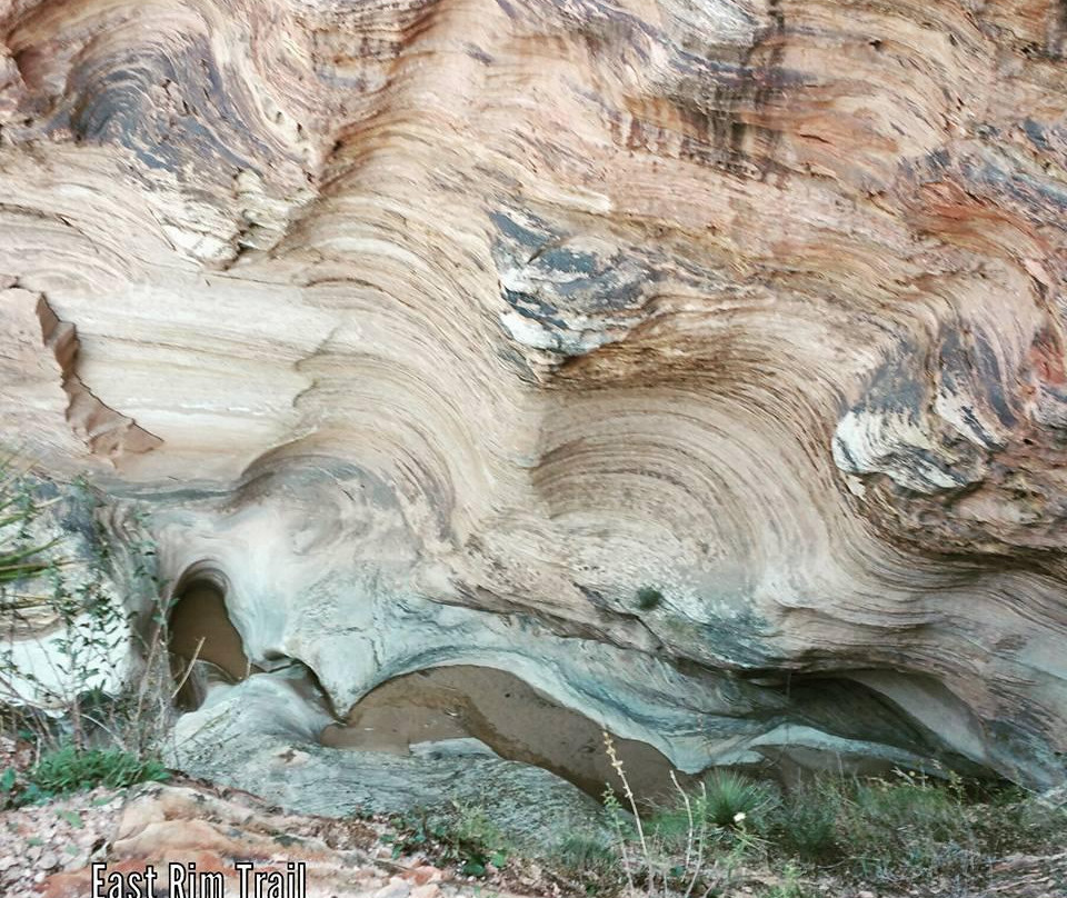 East Rim Trail-锡安国家公园必去景点