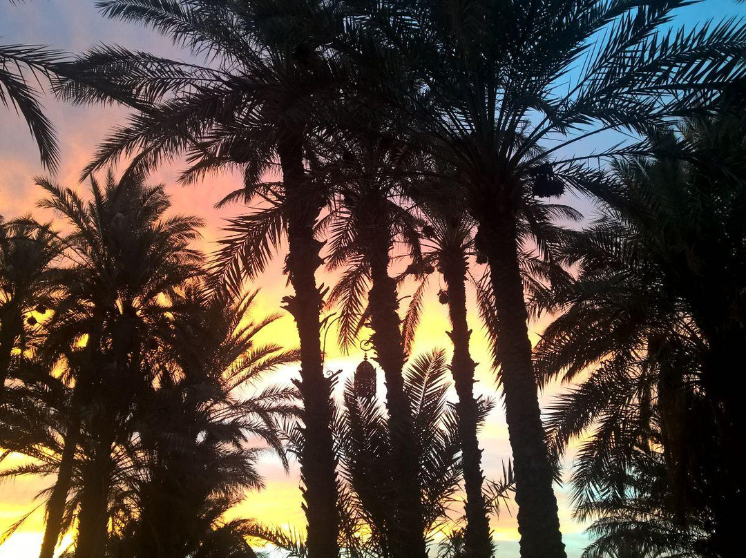 Draa Valley-扎古拉必去景点