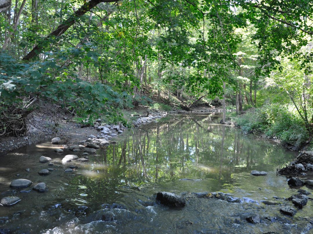 Petrifying Springs Park-基诺沙必去景点