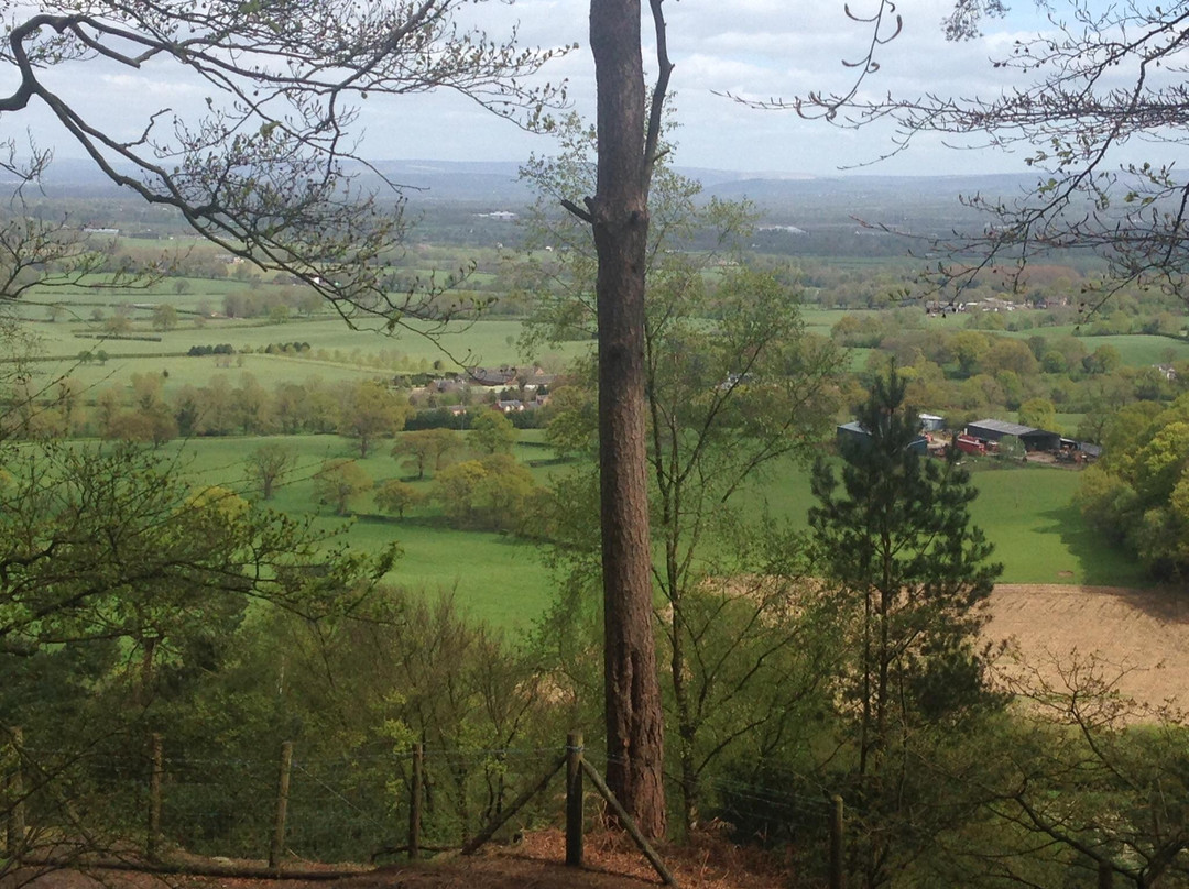 Alderley Edge Woodland Walk-阿尔德利埃奇必去景点