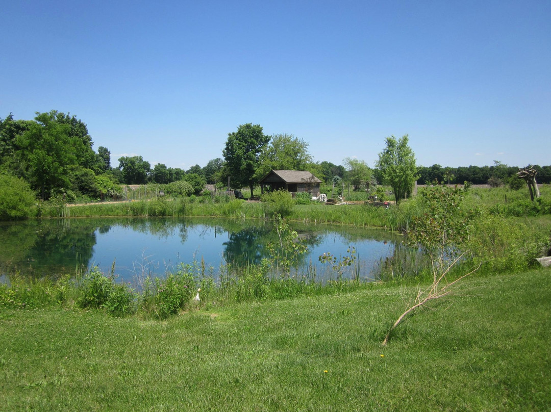 Glass Rooster Cannery-Sunbury必去景点