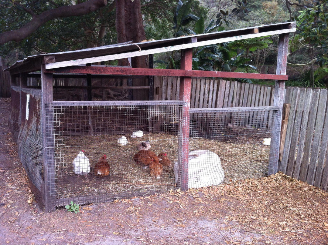 法克鲁斯宅邸-Vaucluse必去景点