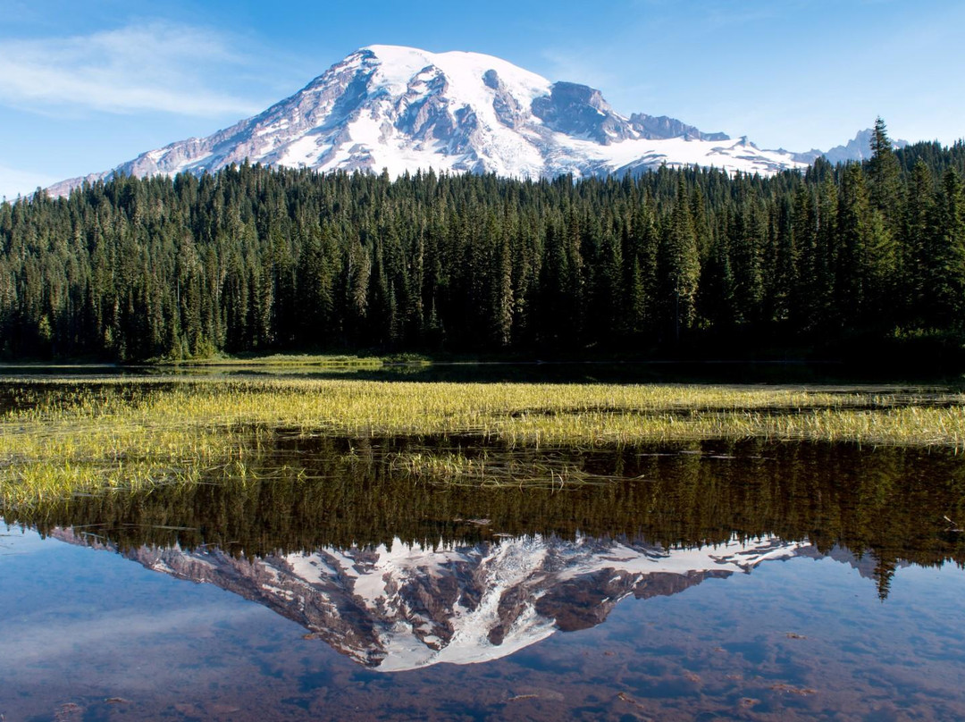 Mount Rainier National Park景点图片