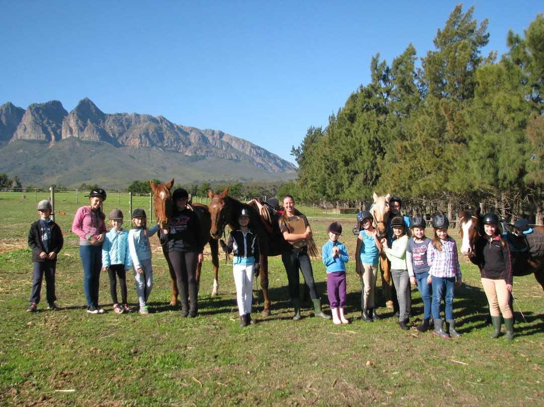 Pony Joy Rides-惠灵顿必去景点
