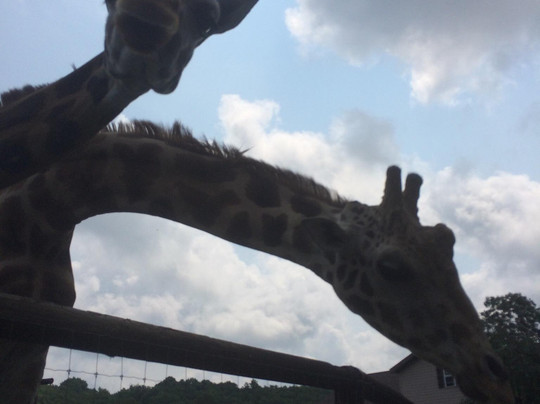 Hovatter's Wildlife Zoo-Kingwood必去景点