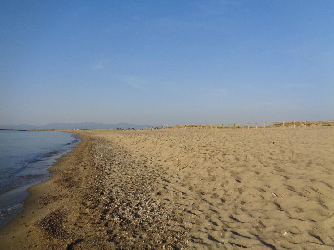Torreilles Plage旅游攻略图片