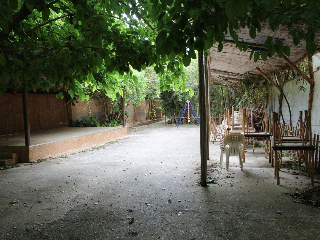 Jumaica Tropical Park-克里斯托港必去景点