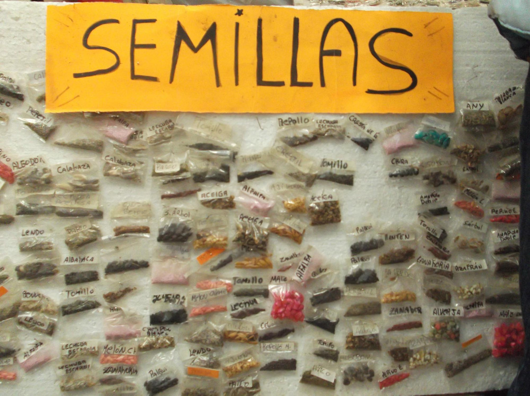 Feria Modelo de Ovalle-Ovalle必去景点