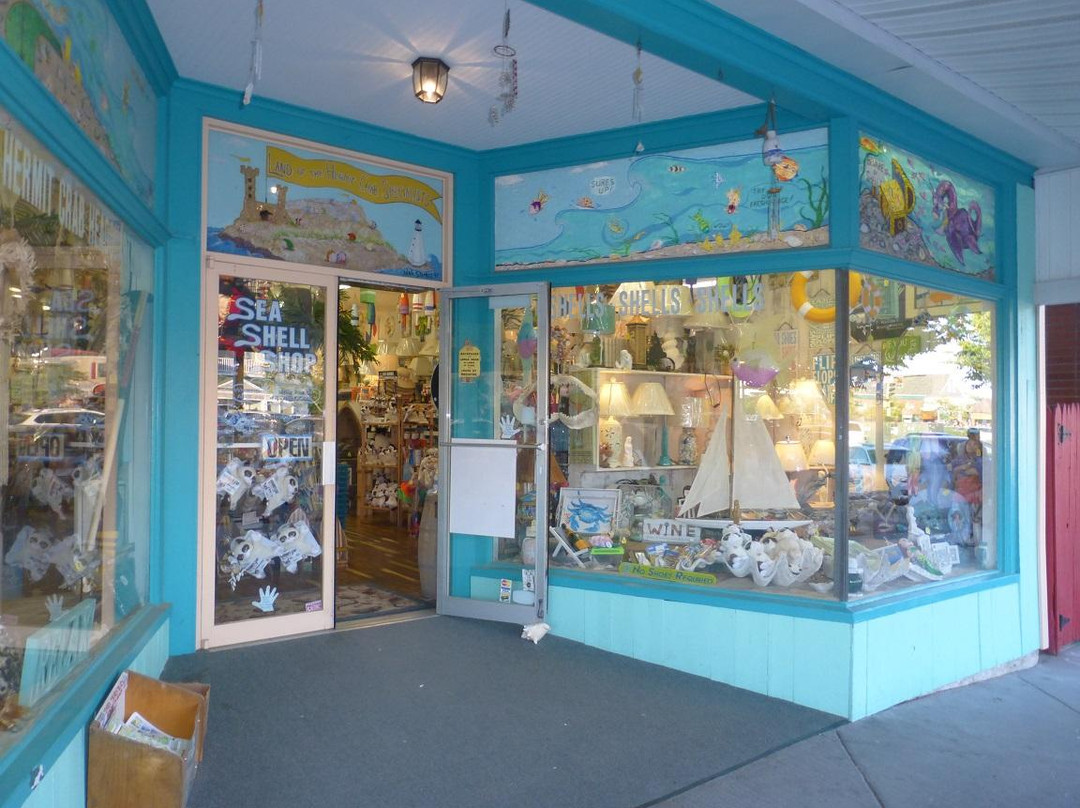 Sea Shell Shop-里霍博斯比奇必去景点