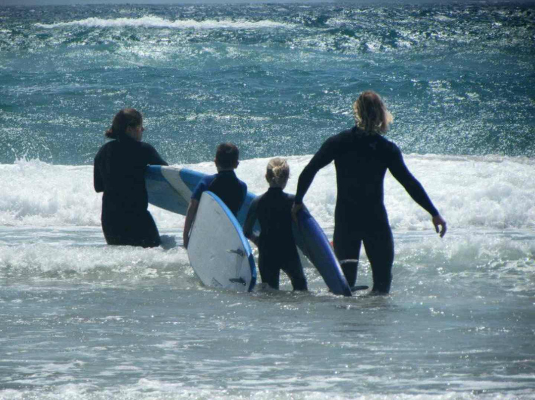 Kool Katz Surf School-拜伦湾必去景点
