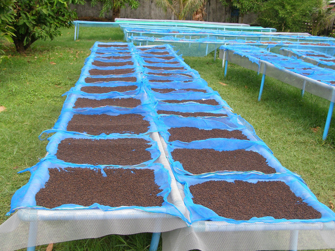 Farm Link-贡布必去景点