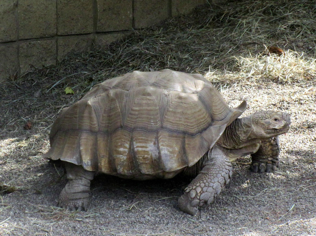 Rinconada Park-帕罗奥多必去景点