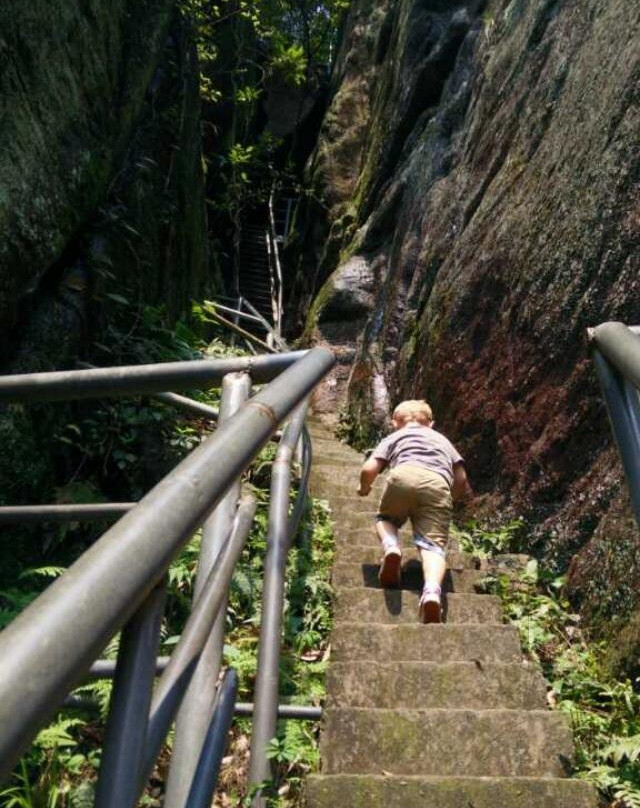 武义寿仙谷景点图片