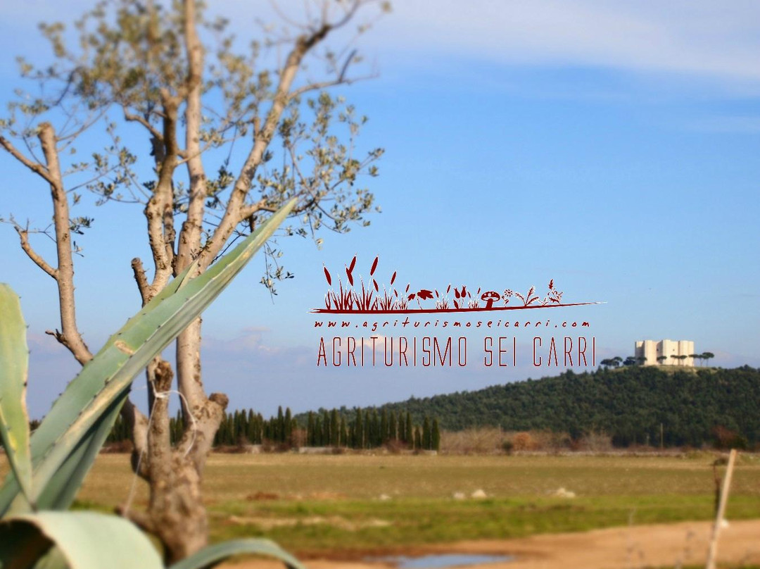 Agriturismo Sei Carri