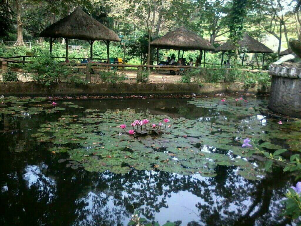 La Mesa Eco Park景点图片