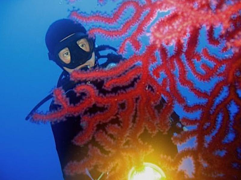 Muciara Diving Center景点图片
