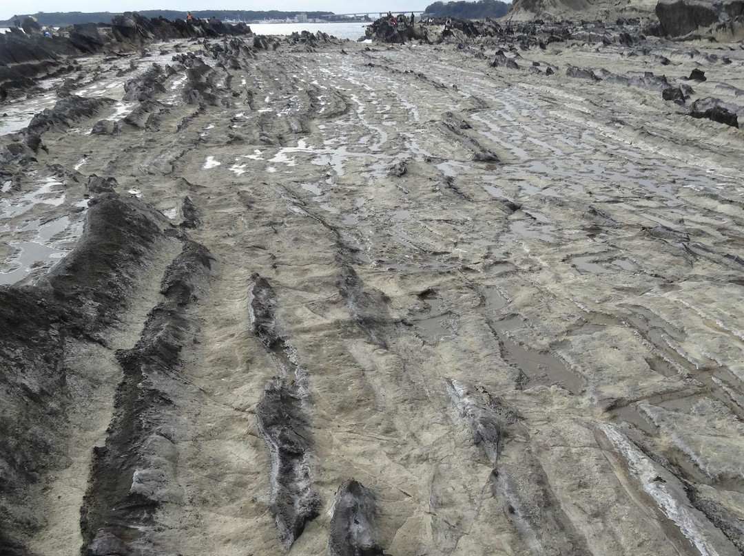 Nusuttogari Cliff-三浦市必去景点