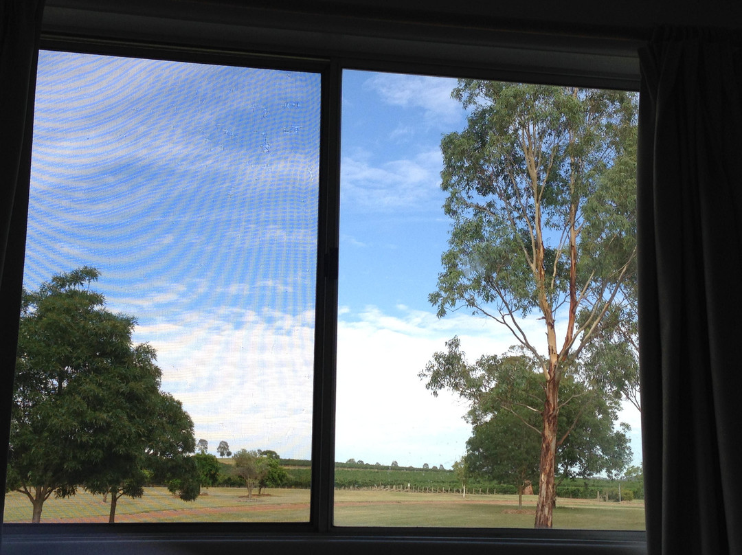 Two Rivers Wines-Denman必去景点