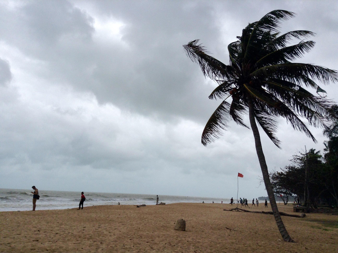 Desaru Beach景点图片