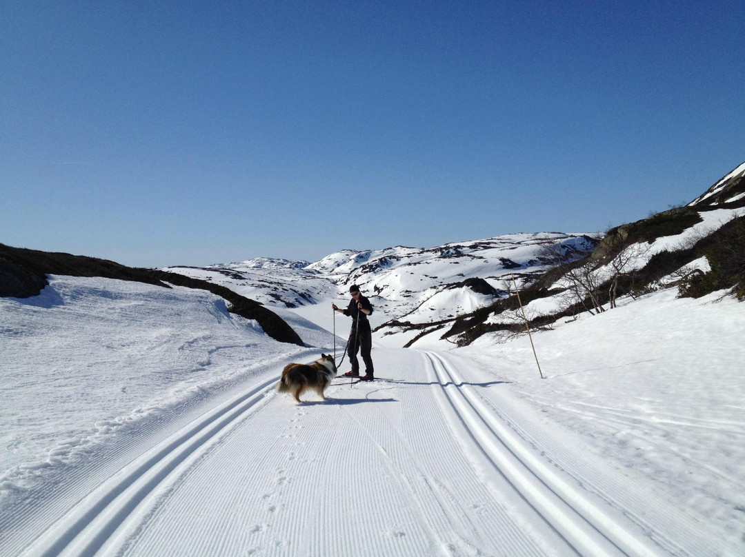 Ljosland Skisenter景点图片
