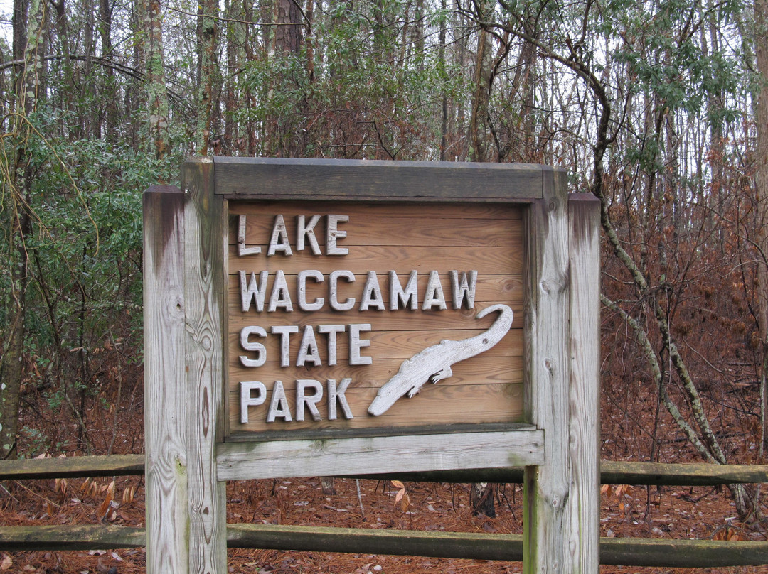Lake Waccamaw State Park景点图片