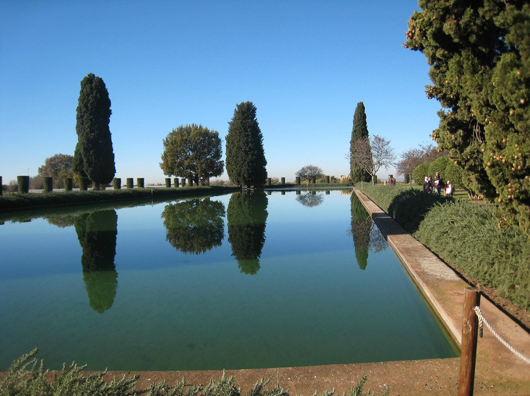 Junior Village Tivoli Parco Giochi景点图片