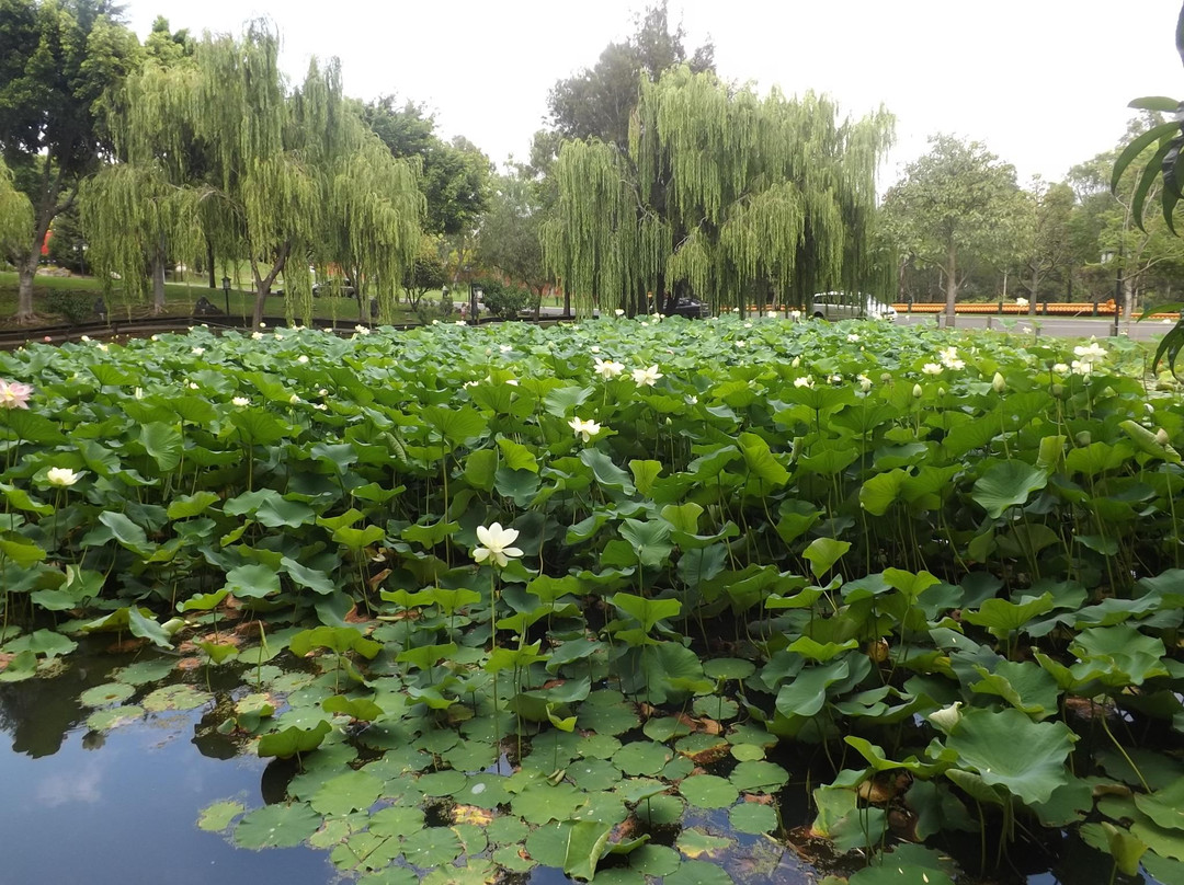 南山寺-卧龙岗市必去景点