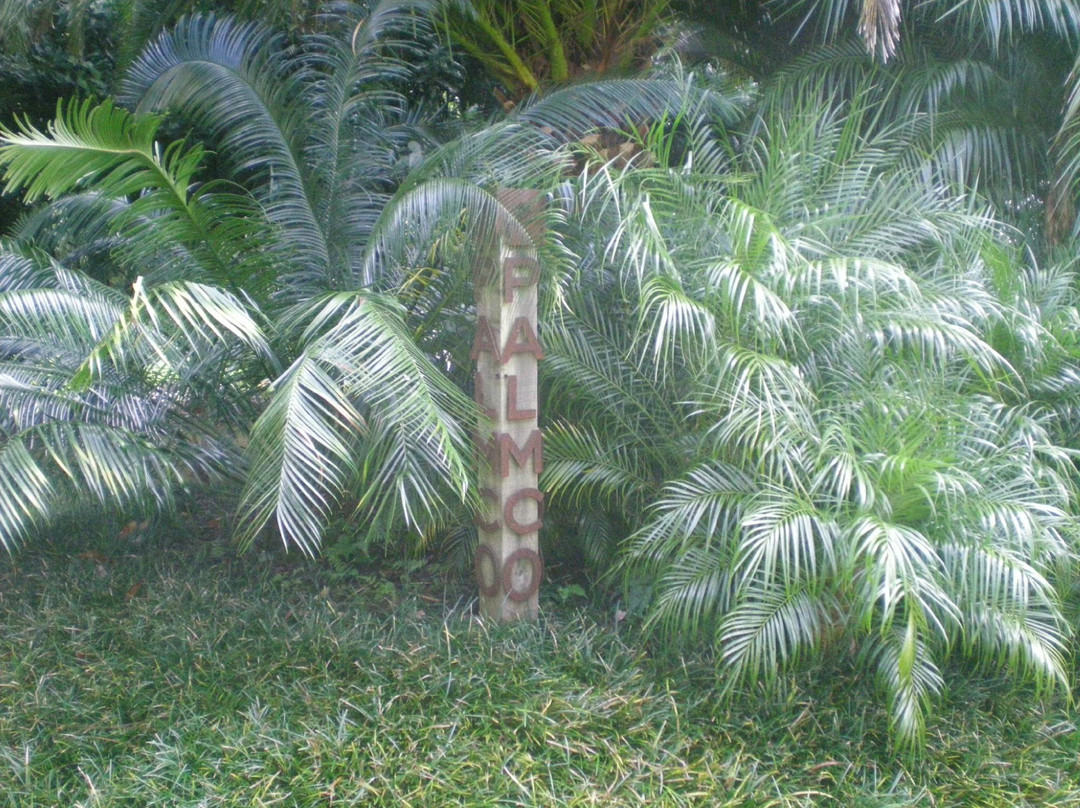 Palmco Garden景点图片