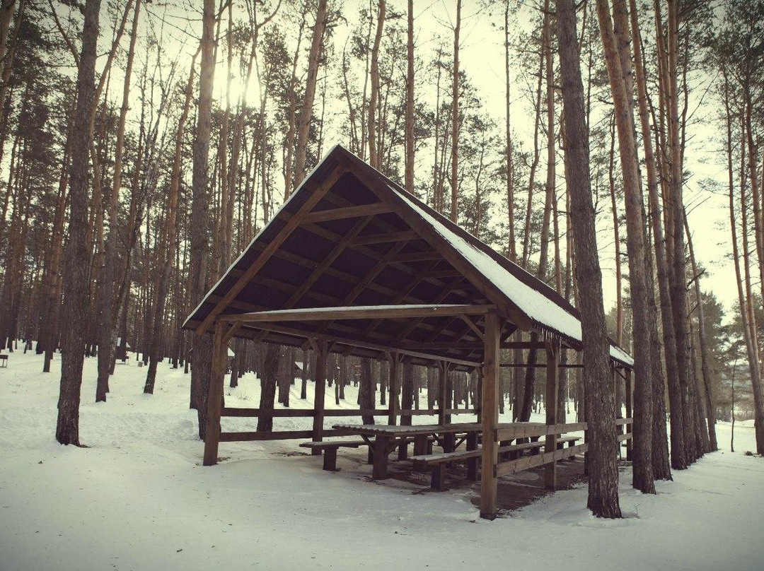 Picnic Park景点图片