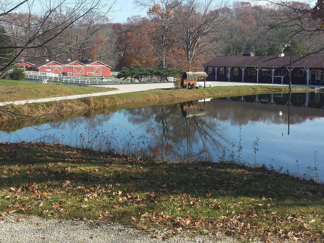 Fondulac Farms Cabin Rentals