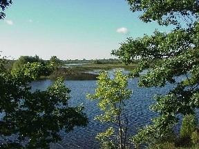 Alpena Bi-Path景点图片