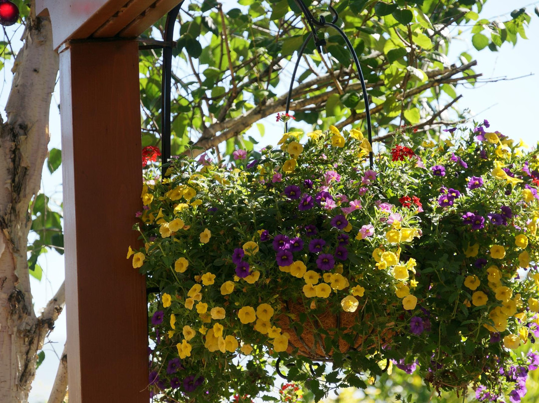 R & R Guest House主图