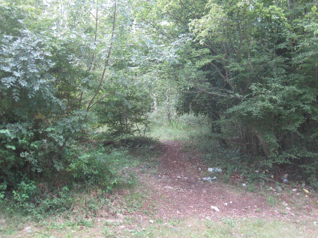Hillfort Mordele-波雷奇必去景点