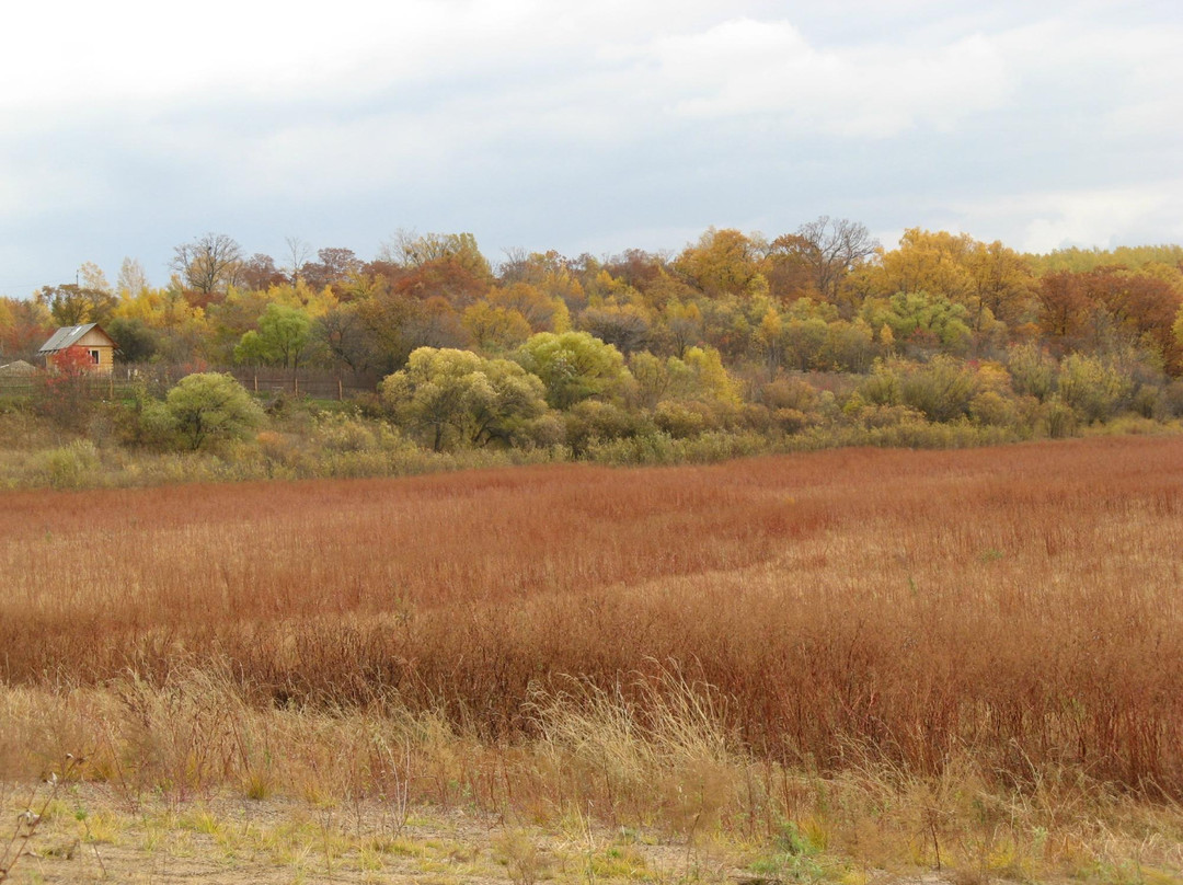 Petroglify-哈巴罗夫斯克必去景点