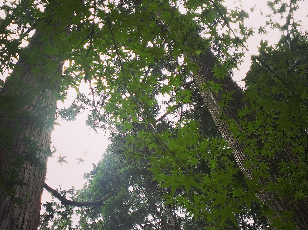 Mt. Imanoyama-三原村必去景点