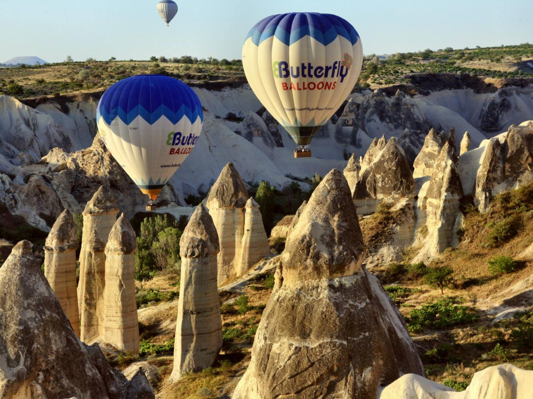 Butterfly Balloons景点图片