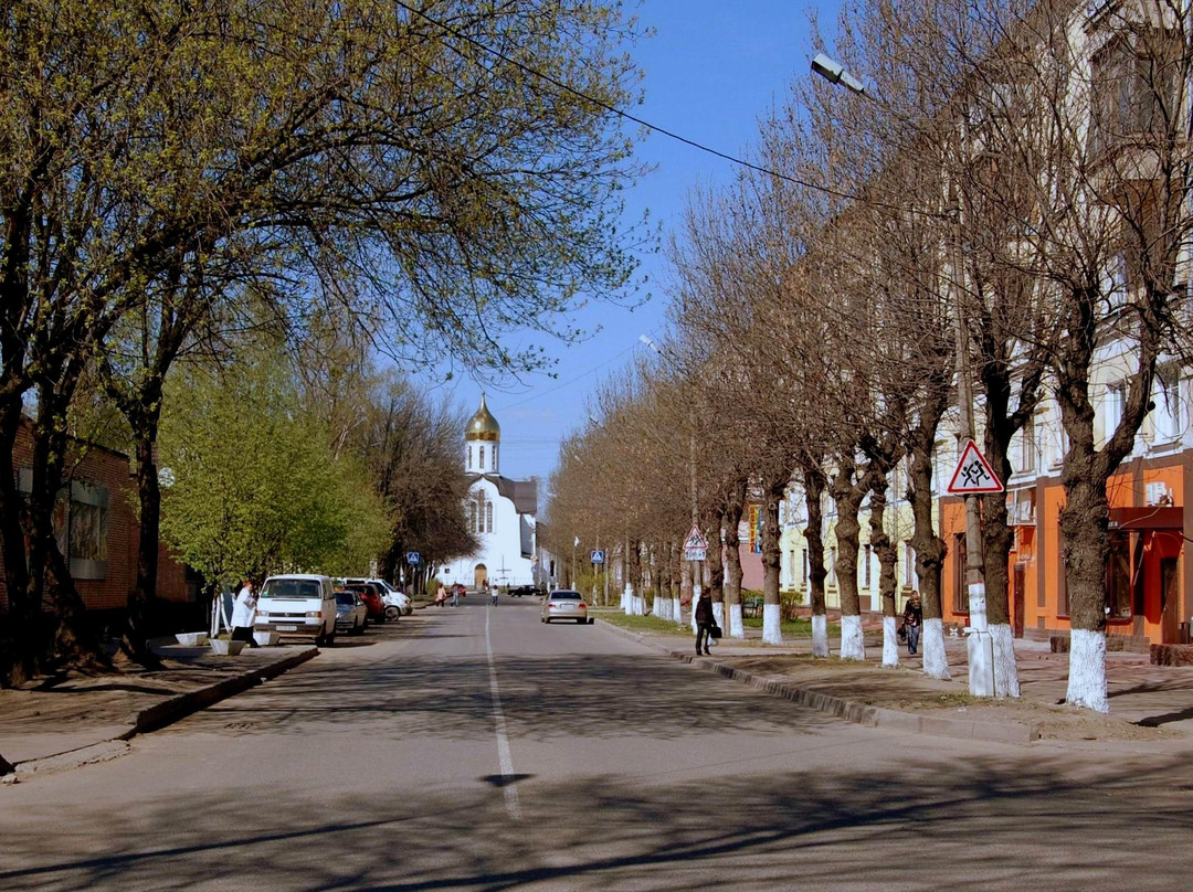 Temple of St. Vladimir景点图片