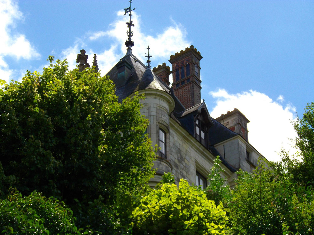 Chaumont-sur-Loire旅游攻略图片