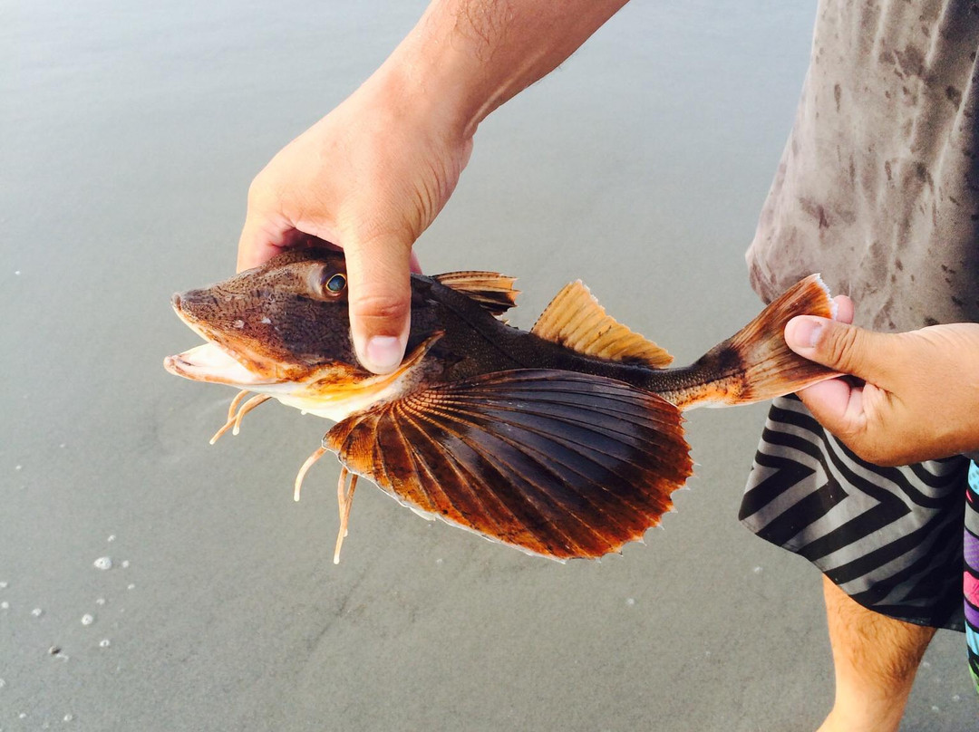Roger W. Wheeler State Beach-纳拉干西特必去景点