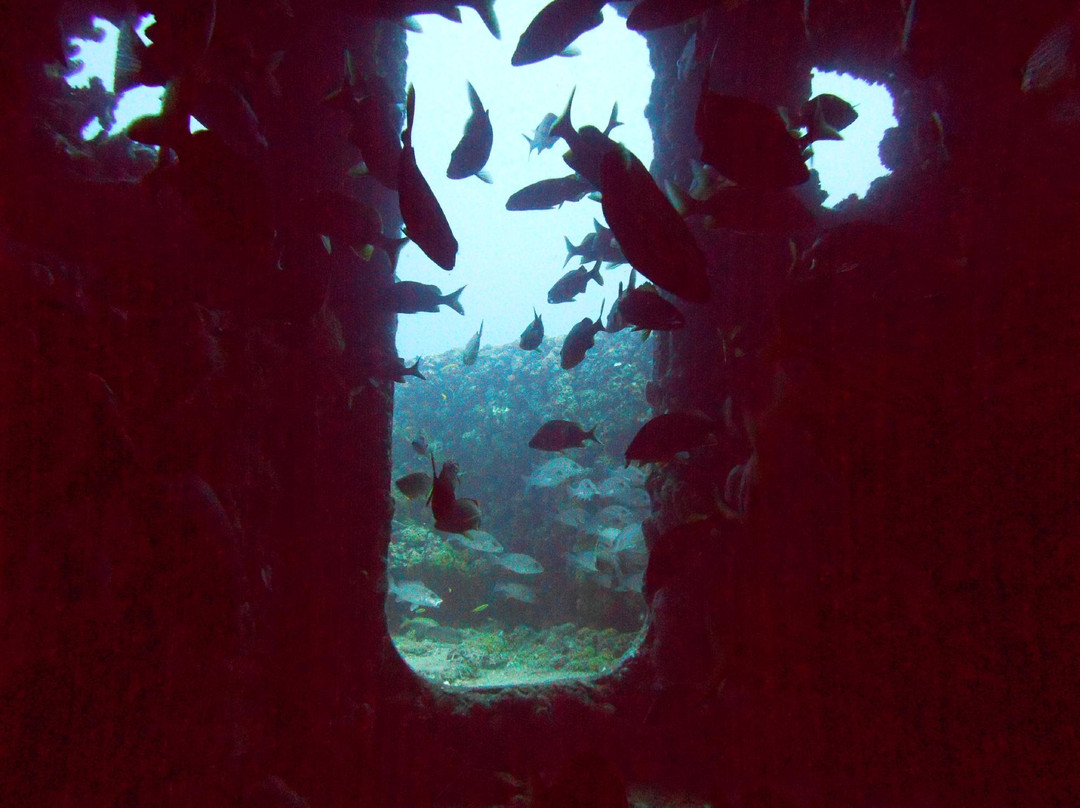 USCG Duane-拉哥岛必去景点