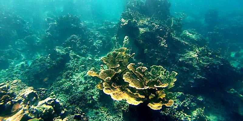 Gwada Aventure-Saint Francois必去景点