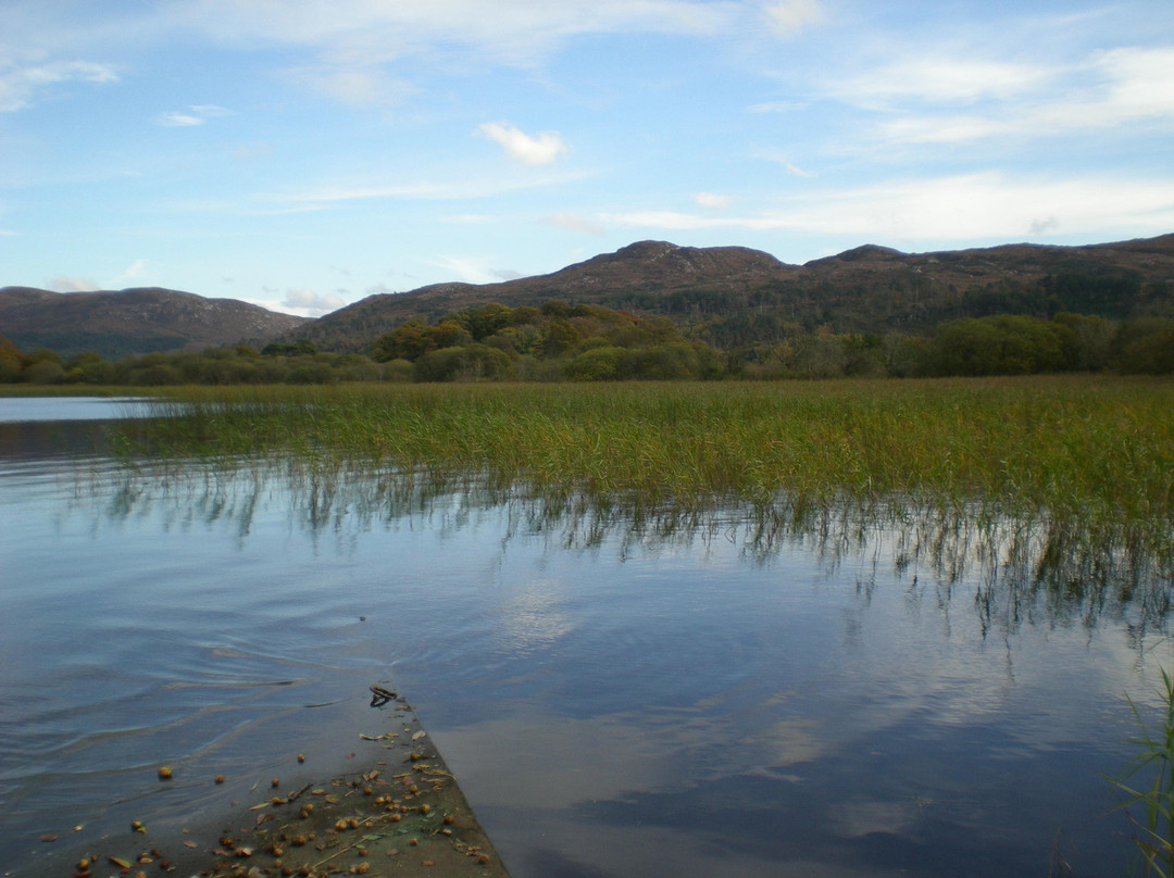The Lough Gill Drive-斯莱戈必去景点