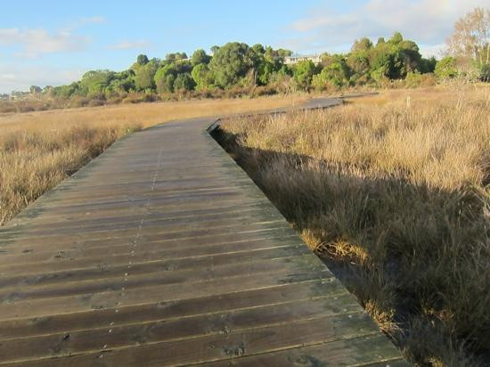 Waikareao Estuary景点图片