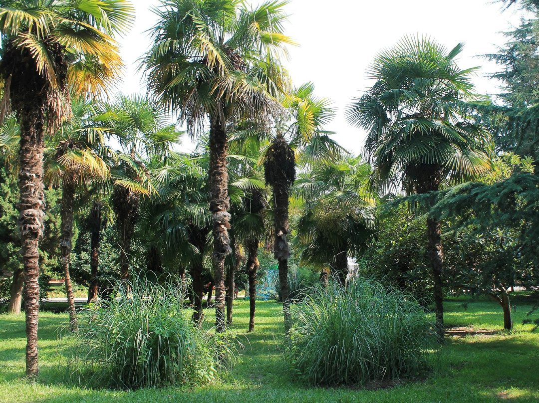 Lazarevsky Recreation Park景点图片