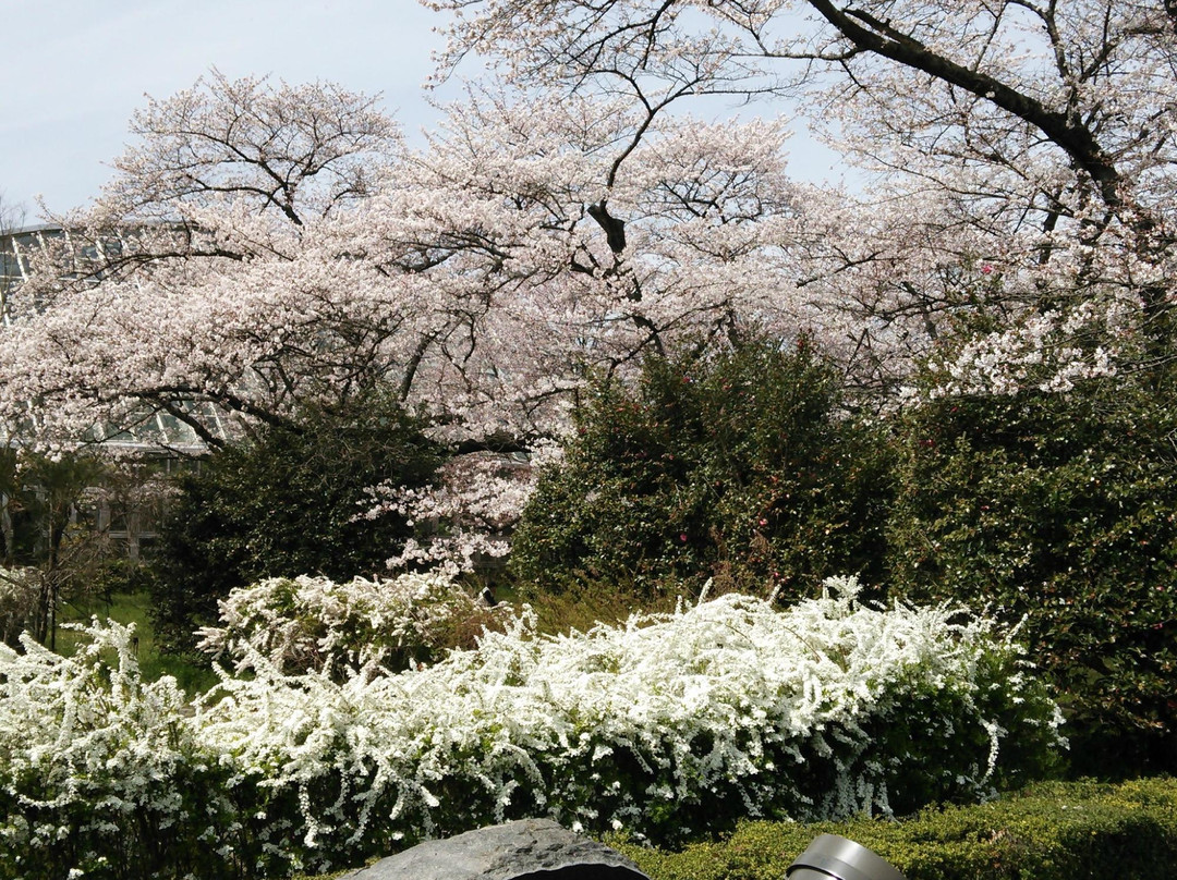 京都府立植物园-京都市必去景点