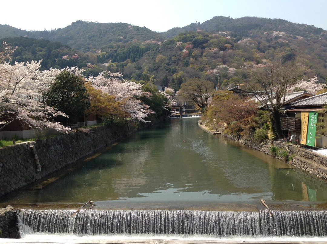 岚山-京都市必去景点