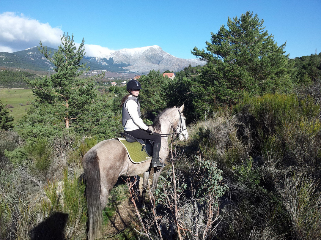 Horse Riding Madrid -Jarahonda-Collado Mediano必去景点